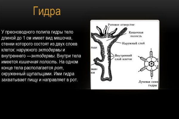 Кракен гидра даркнет