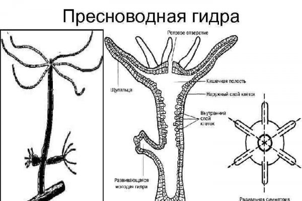 Ссылки на кракен com